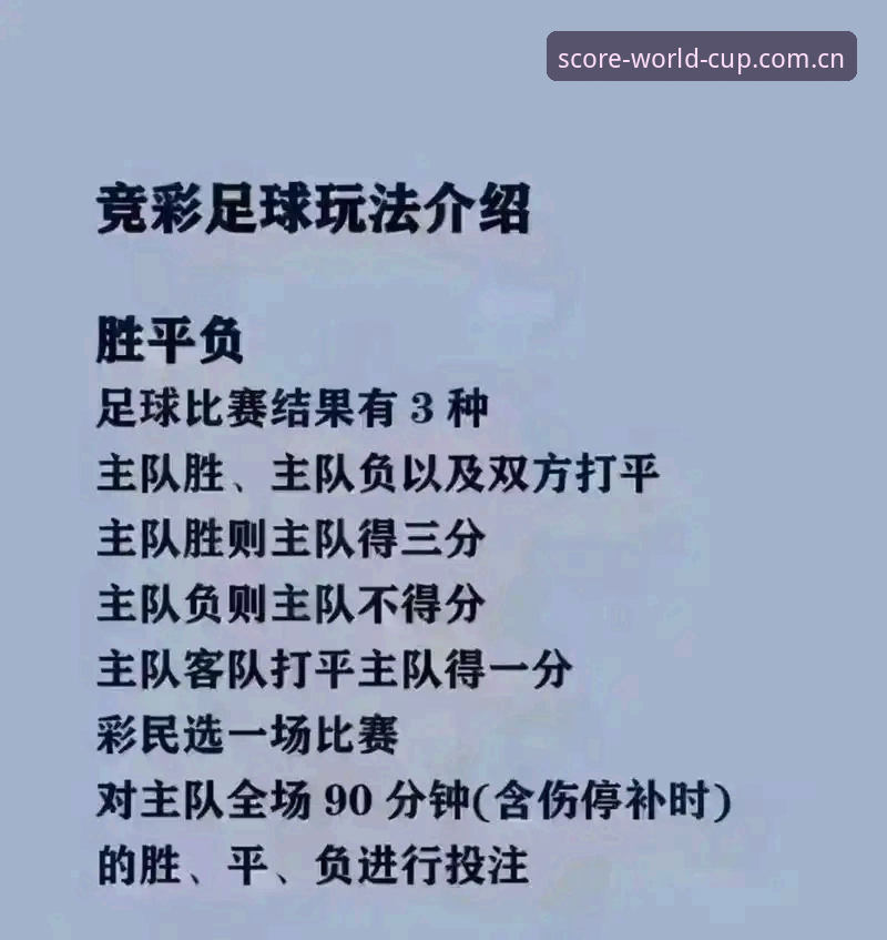世界杯买球新手必备：从马赛更衣室斗殴看足球管理的实用技巧